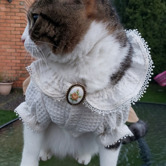 Mid-Century Cameo Floral Dress Clip - Picture 6 of 6